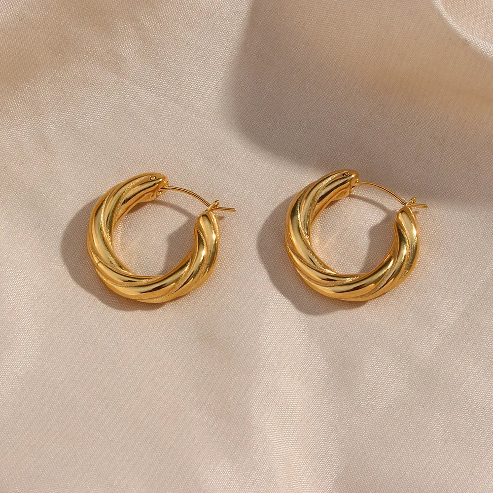 Earrings Hoops Twist Geometric Hoop Earrings Chunky Earrings